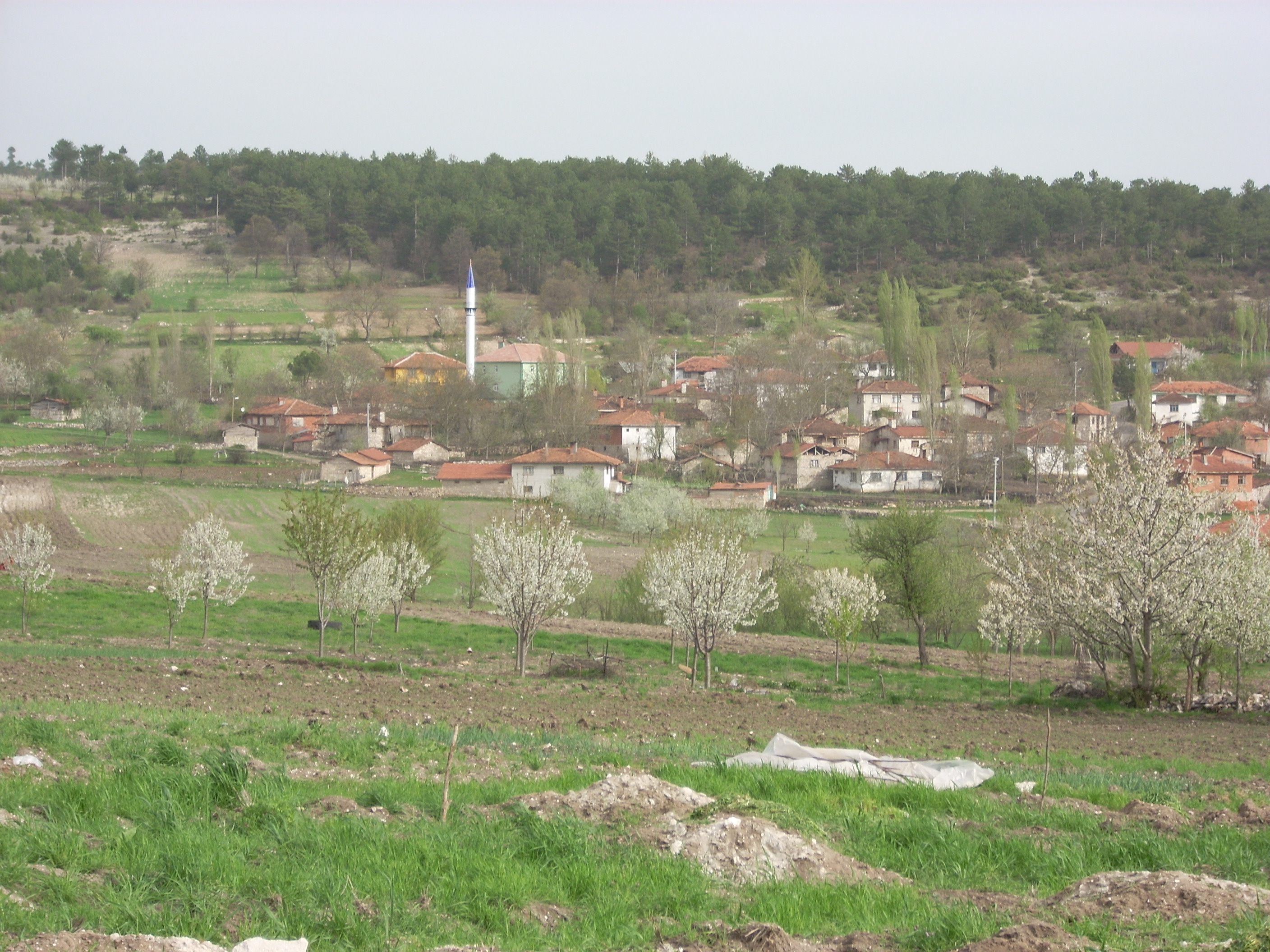 Küçük Mahalle