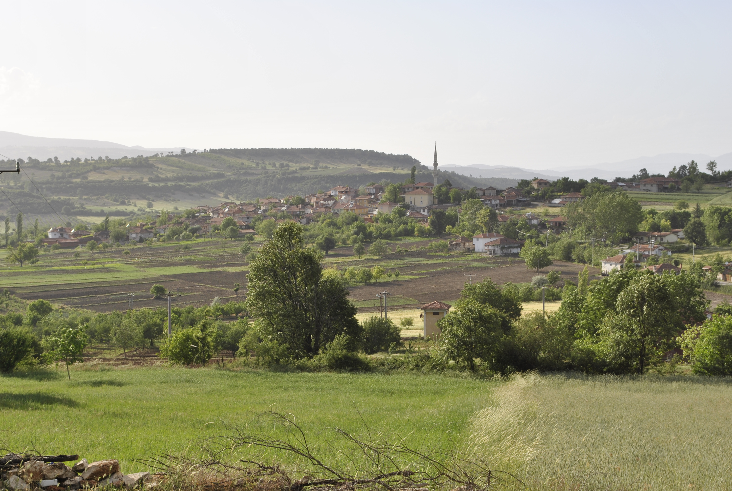 Büyük Mahalle